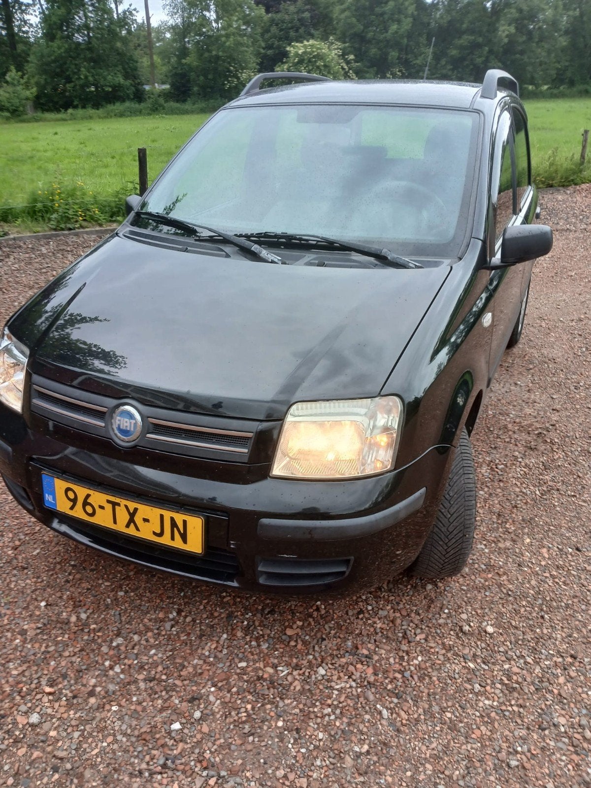 Fiat Panda 1.2 44KW 60PK 2007 Zwart, Voorwielaandrijving, Zwart, Origineel Nederlands, Handgeschakeld