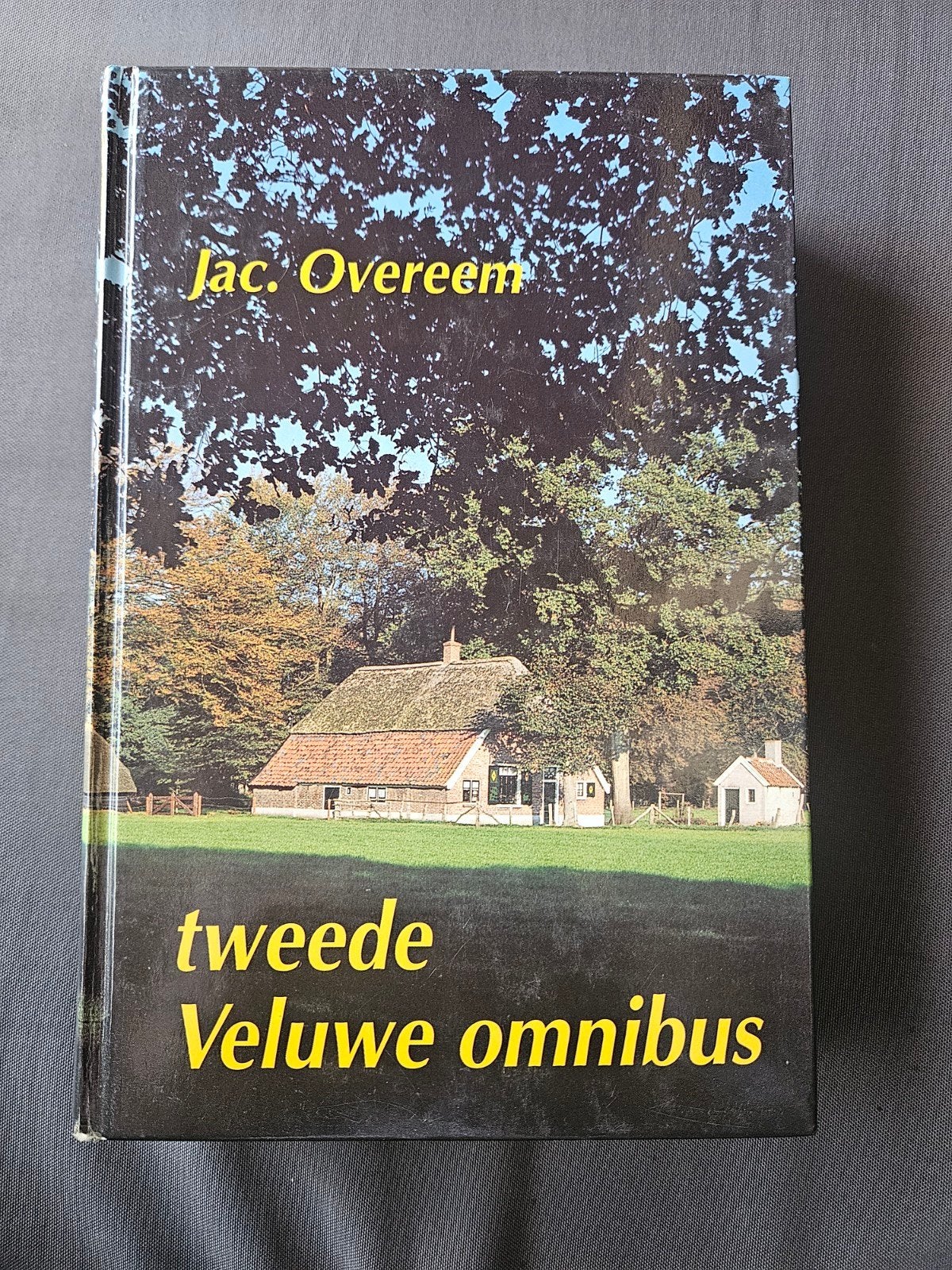 Jac. Overeem - Tweede Veluwe omnibus, Boeken, Verzenden, Gelezen, Jac. Overeem, Nederland