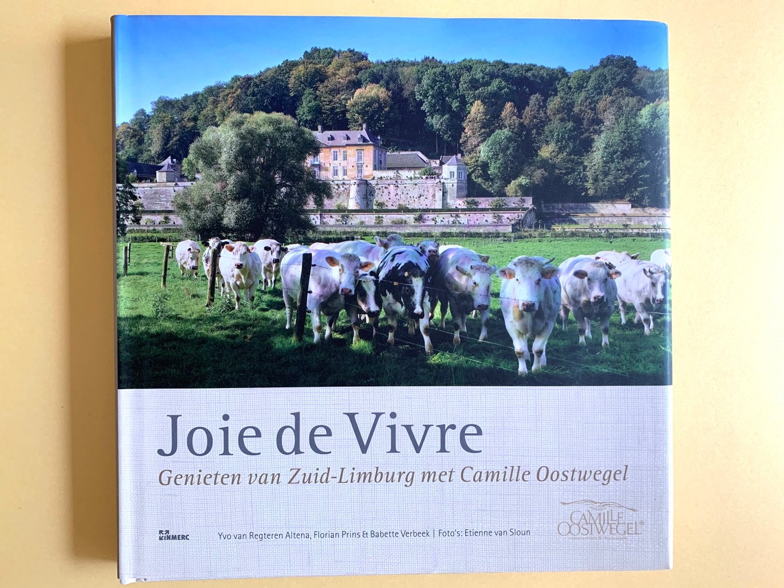 Y. van Regteren Altena - Joie de vivre, Italië, Y. van Regteren Altena; B. Verbeek; F. Prins, Ophalen of Verzenden, Zo goed als nieuw