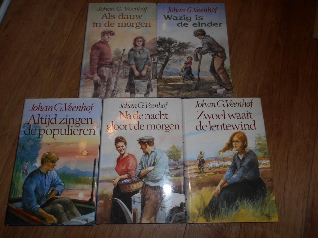 Joh G Veenhof 5 boeken uit de VCL serie, Boeken, Ophalen of Verzenden, Zo goed als nieuw