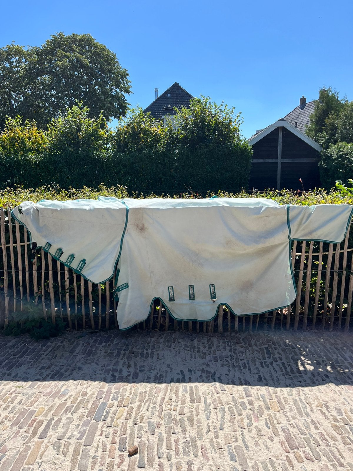 Eczeemdeken Rambo Sweet Itch Hoody Full Neck Lichtgroen, Dieren en Toebehoren, Ophalen of Verzenden, Gebruikt