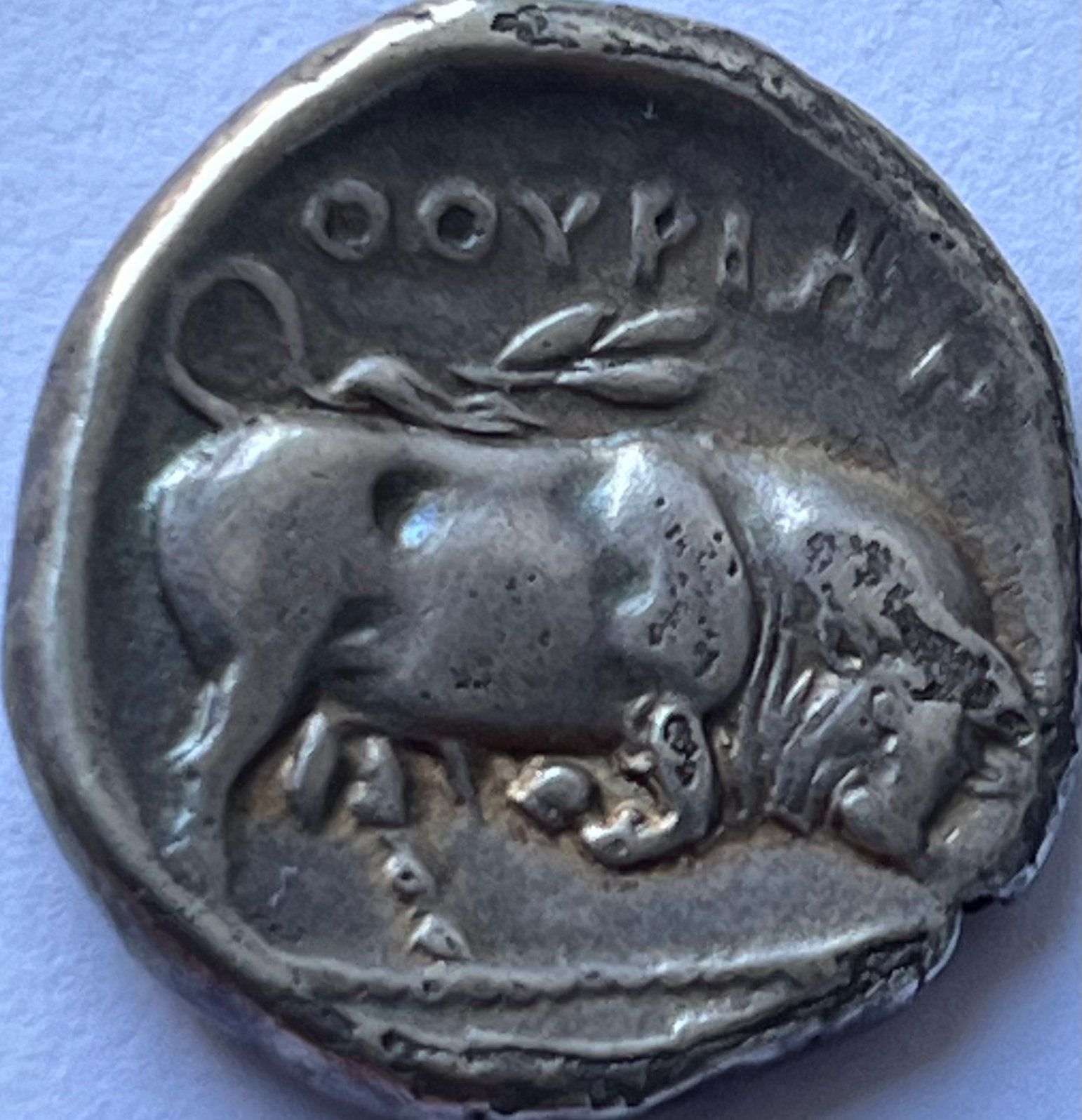 Lucania (Thourioi) zeldzame stater 350-300 voor Christus, Postzegels en Munten, Munten | Europa | Niet-Euromunten, Losse munt