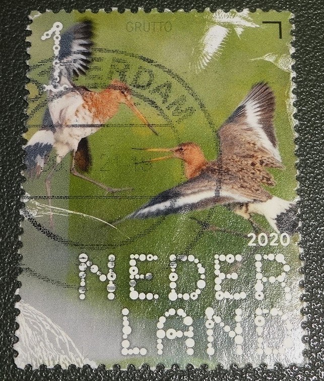 Beleef de Natuur - 3826 - 2020 - Grutto - PNe01-07, Verzenden, Na 1940, Gestempeld