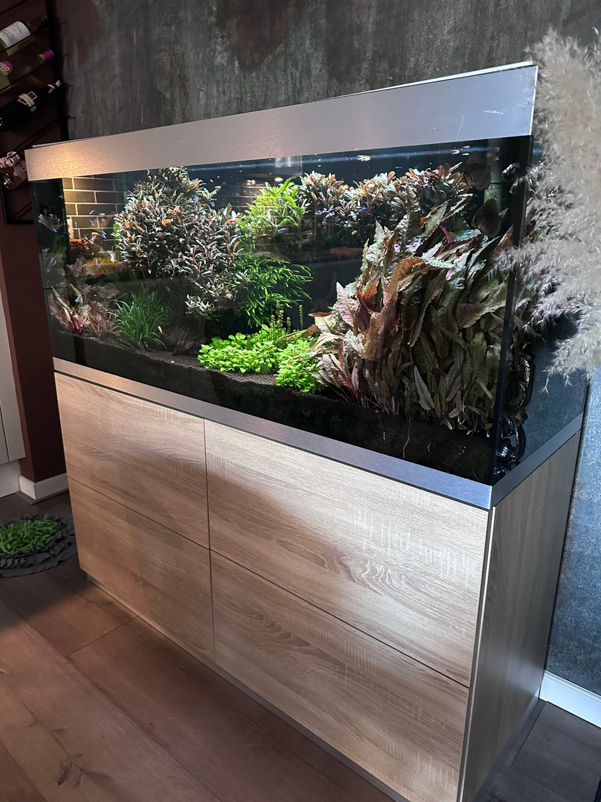 Oase Highline 400 Helialux spectrum 2x buitenfilter, Dieren en Toebehoren, Vissen | Aquaria en Toebehoren, Ophalen, Gebruikt, Leeg aquarium