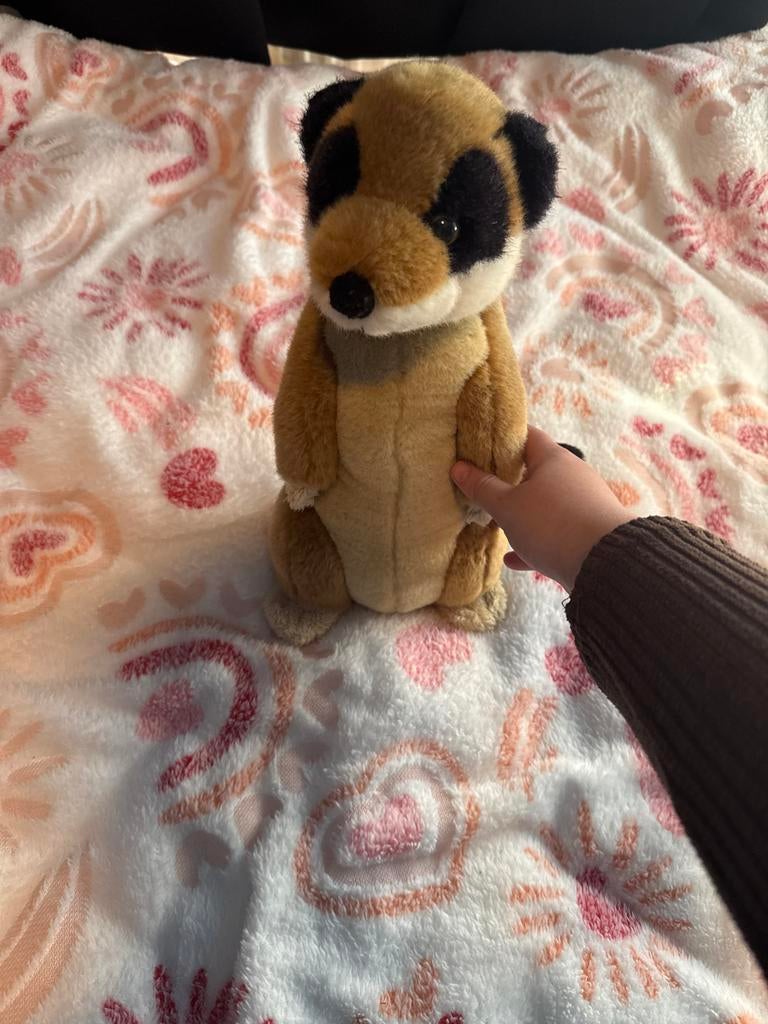 Mooi stokstaartje knuffel, Ophalen, Zo goed als nieuw, Overige typen