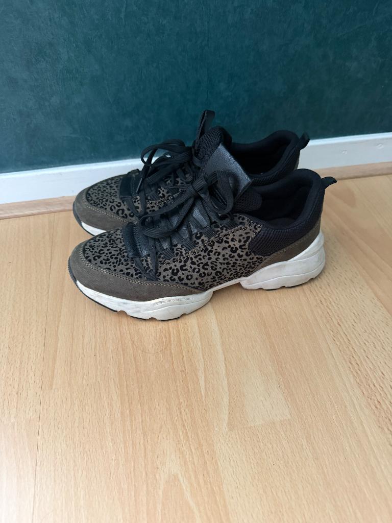 Schoenen groen met print, Ophalen of Verzenden, Sneakers of Gympen, Gedragen, Groen