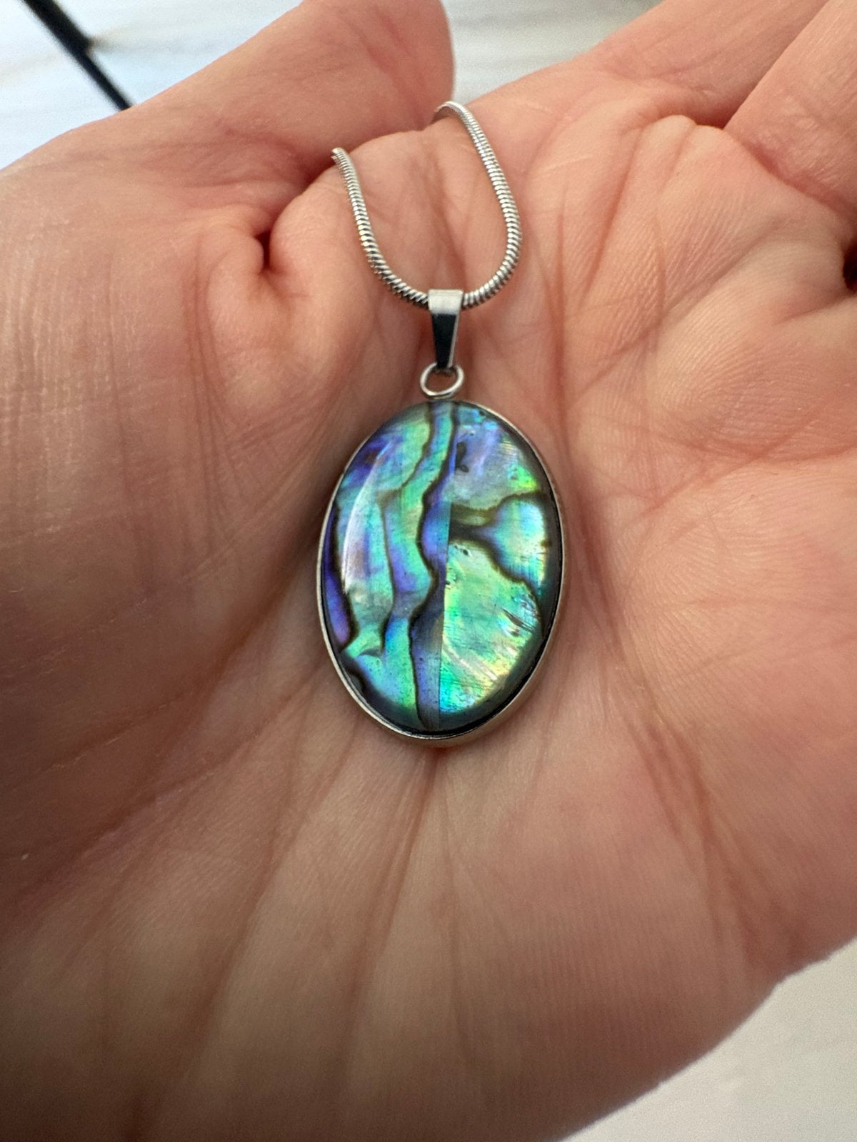 Abalone schelp hanger met RVS ketting, Overige kleuren, Nieuw, Cariadgems@hotmail.com, Ophalen of Verzenden