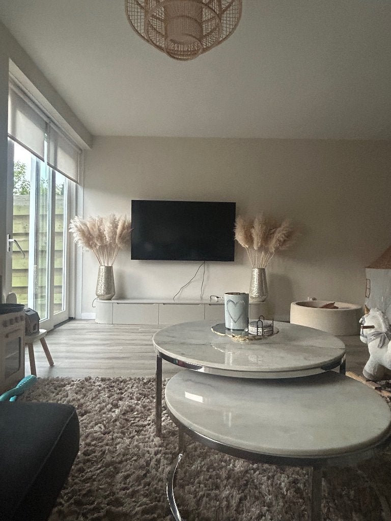 Droogbloemen Pampasgras XXL – crème/wit, Huis en Inrichting, Ophalen, Zo goed als nieuw, Wit, Overige materialen