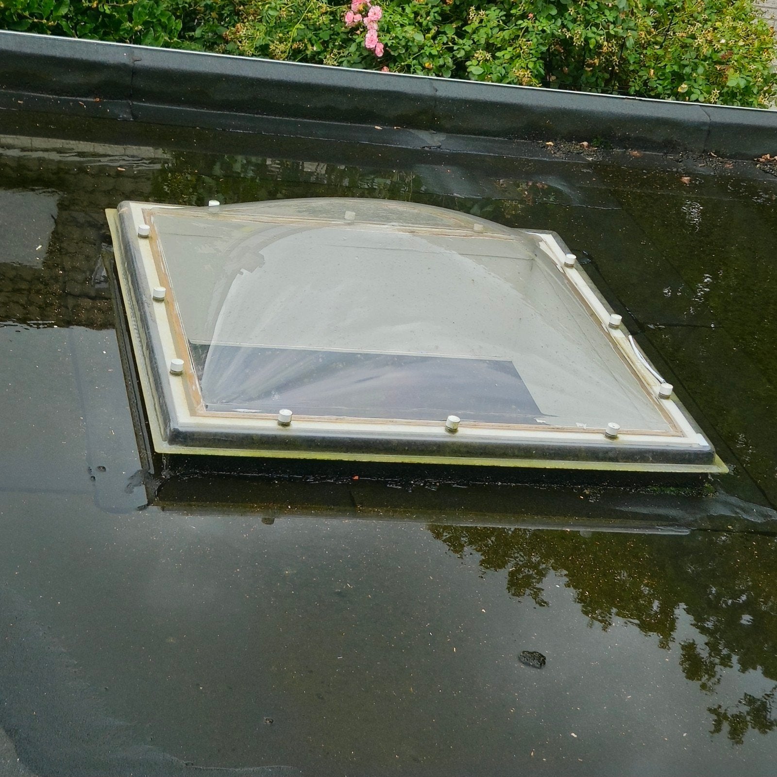 Lichtkoepel Enkelwandig Vierkant 100x100, Doe-het-zelf en Verbouw, Ophalen, Gebruikt, Overige typen, Minder dan 80 cm