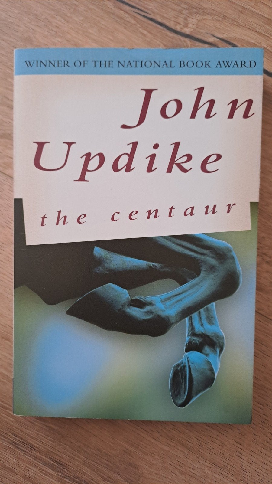 The Centaur - John Updike (Engels), Ophalen of Verzenden, Zo goed als nieuw, John Updike, Amerika