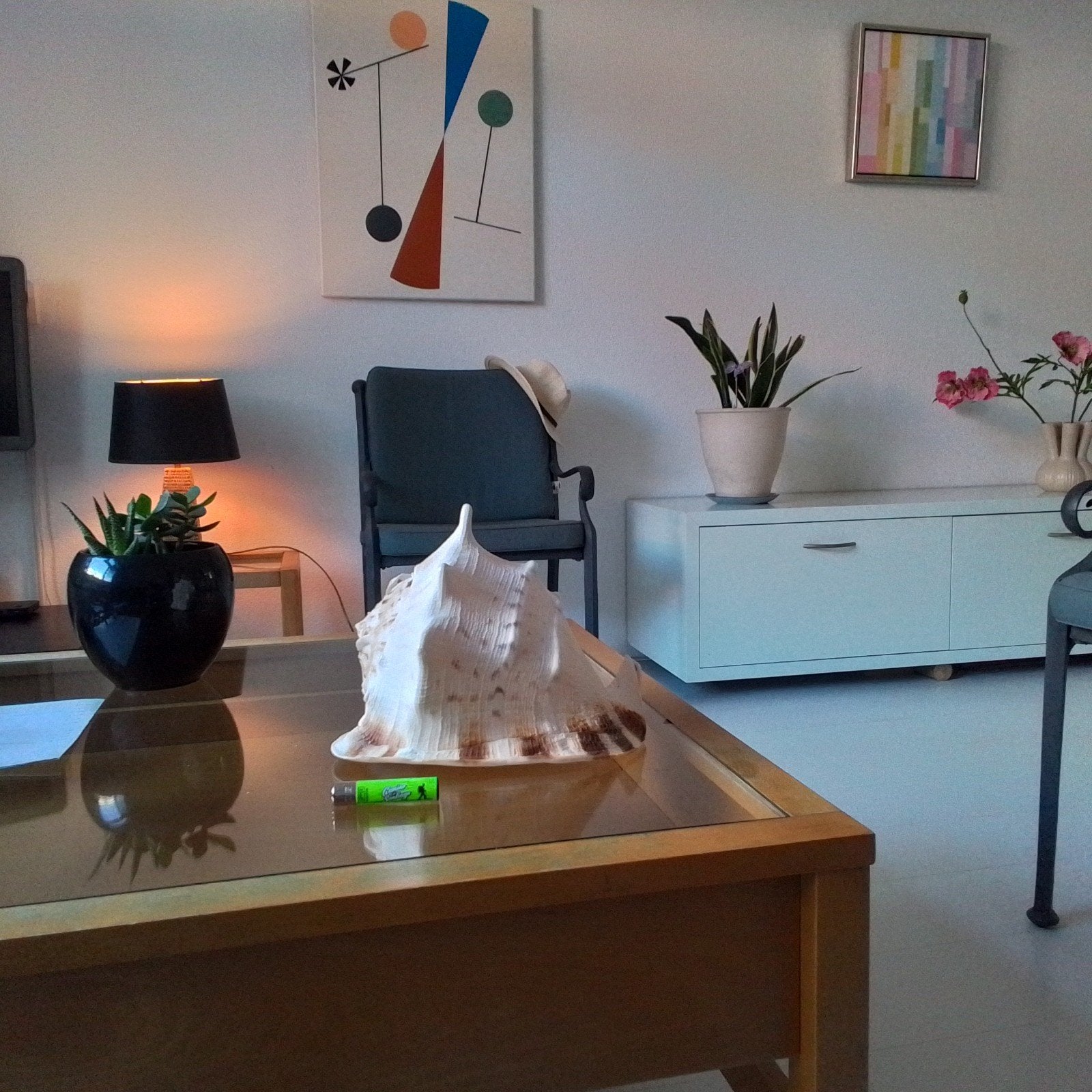 GROTE decoratieve schelp, Gebruikt, Meerkleurig, Overige stijlen, Ophalen of Verzenden