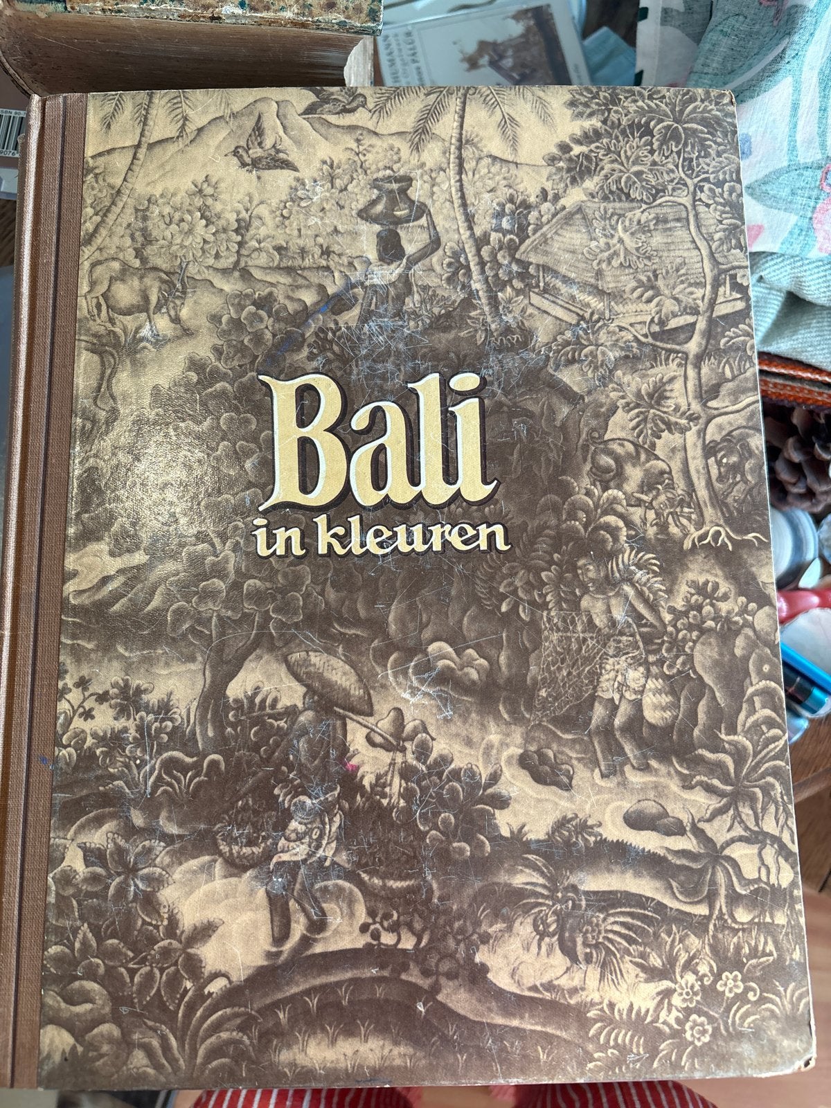 Bali in Kleuren - Reisboek met prachtige illustraties, Reisgids of -boek, Azië, Ophalen, Gelezen