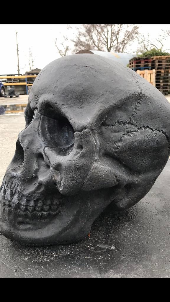 ‼️Doodshoofd 70kg Schedel Skull Oldtimer Harley Halloween‼️, Tuin en Terras, Ophalen of Verzenden, Nieuw, Beton, Mensenbeeld