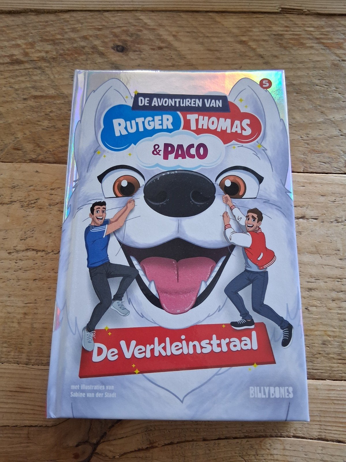 Rutger Vink - De Verkleinstraal, Rutger Vink; Thomas van Grinsven, Fictie algemeen, Ophalen of Verzenden, Zo goed als nieuw