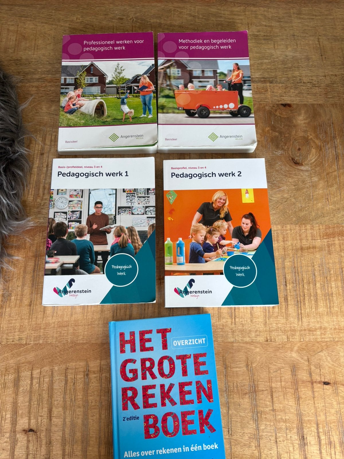 Pedagogisch medewerker niveau 3, Boeken, Schoolboeken, Ophalen of Verzenden, Zo goed als nieuw, Overige niveaus
