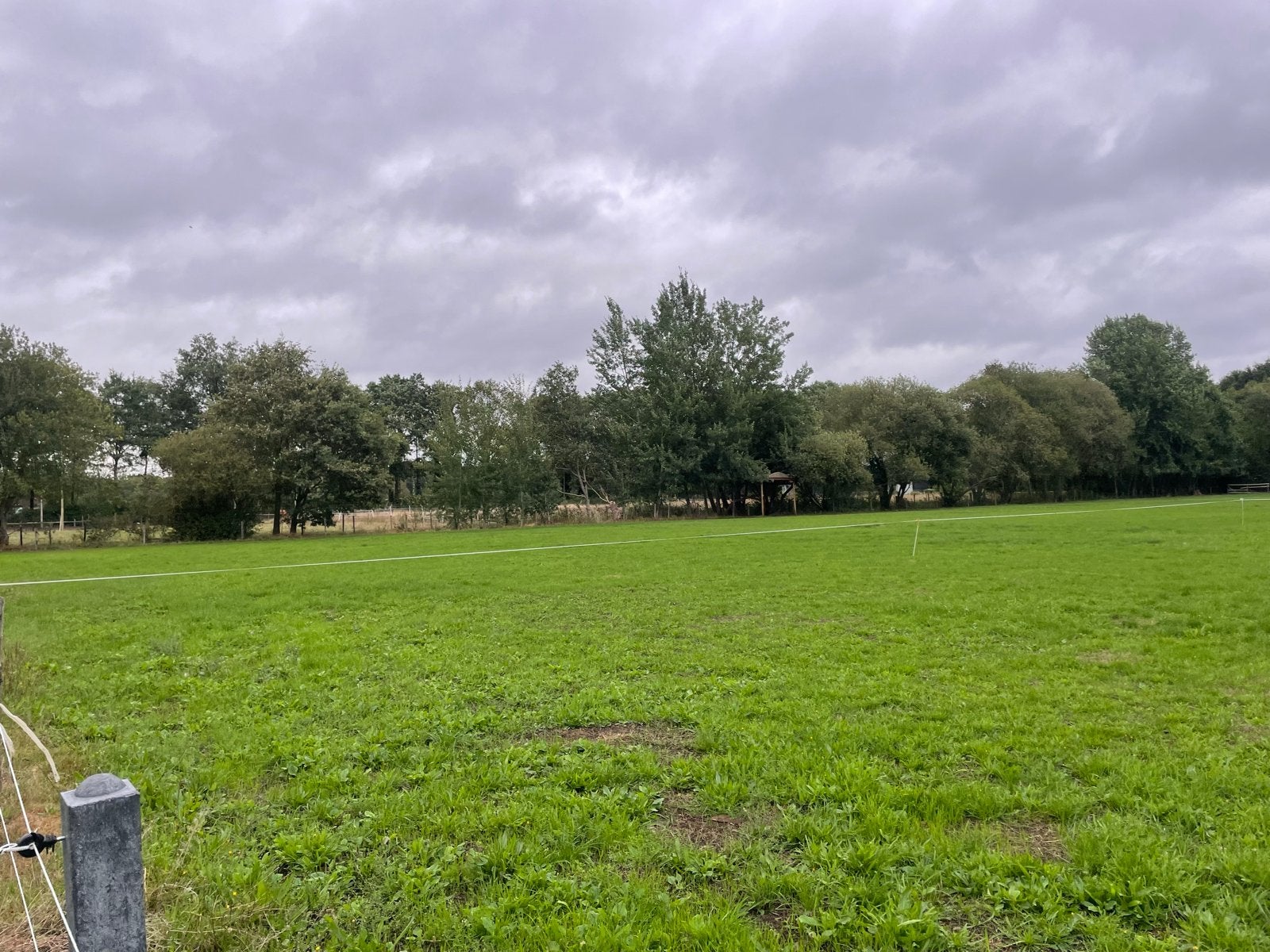 Weiland te huur, Dieren en Toebehoren, Weidegang, 2 of 3 paarden of pony's
