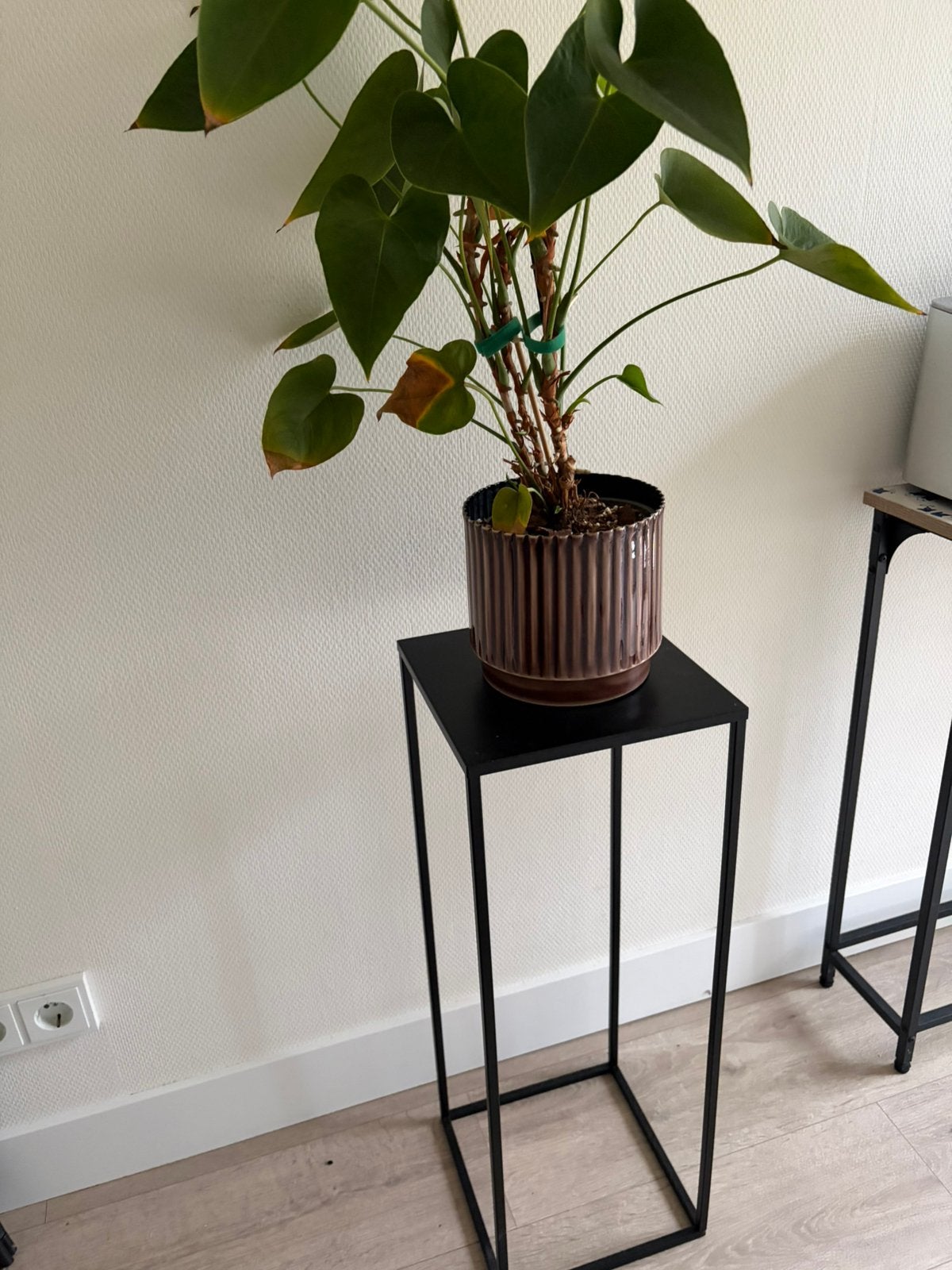 Plantentafel/Bijzettafel metalen zwart, Ophalen, Zo goed als nieuw