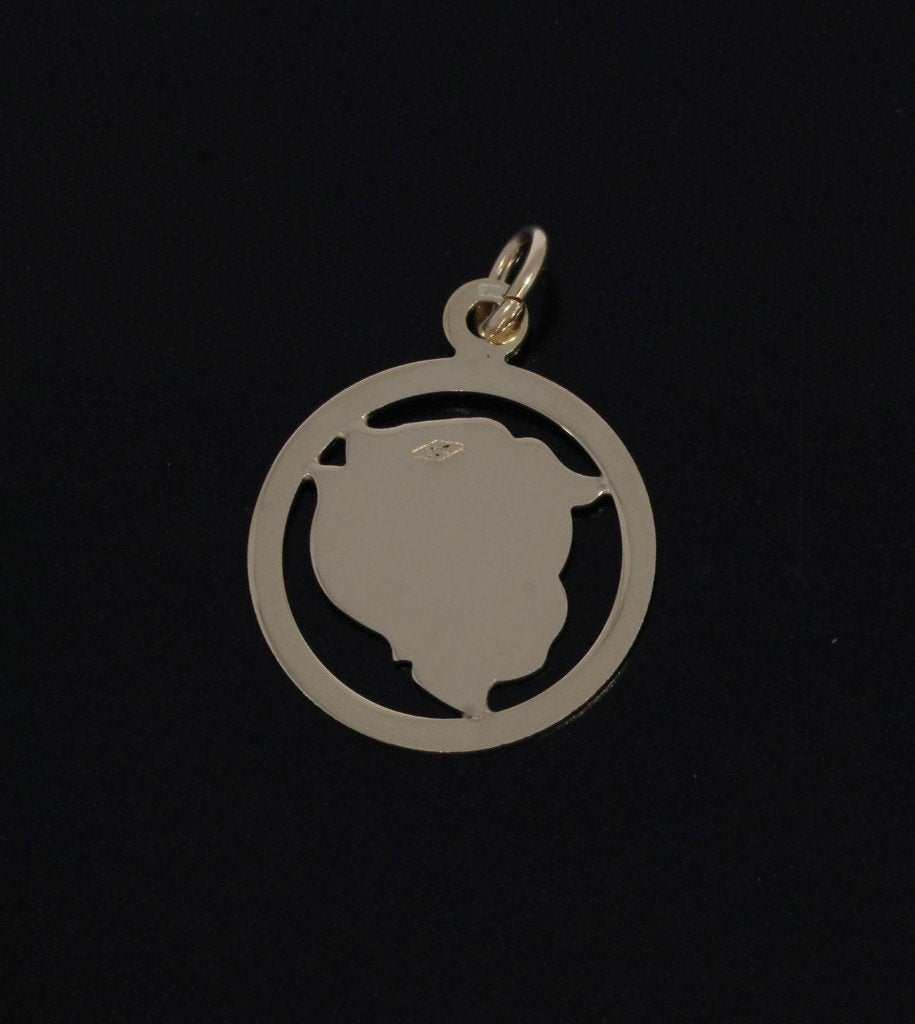Nieuwe kinderkopje jongen 14k hanger goud bedel armband, Sieraden, Tassen en Uiterlijk, Kettinghangers, Voordeelsieraden, Verzenden