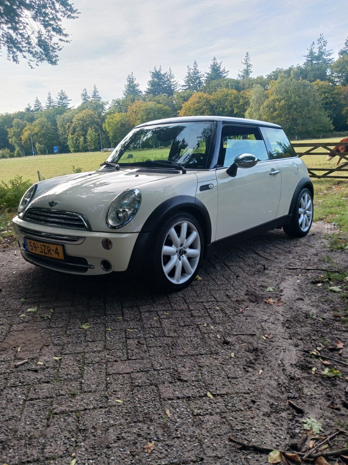 MINI MINI COOPER 1.6 PEPPER NETJES GOED. AIRCO 8.05 PANODAK, Auto's, Mini, Voorwielaandrijving, Zwart, 4 cilinders, 1600 cc