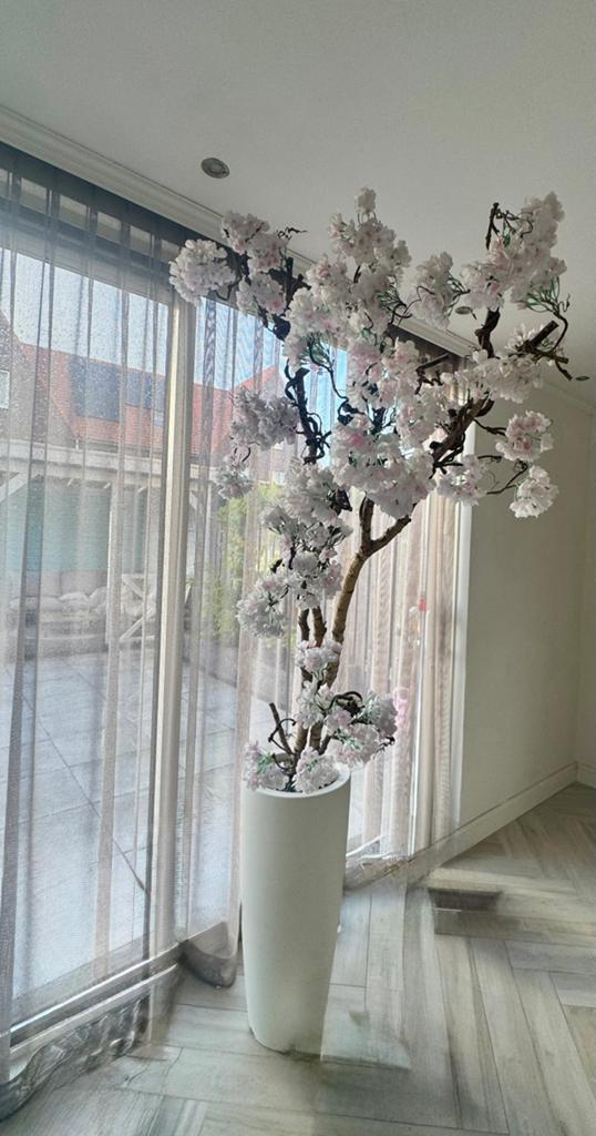 Bloesemboom 250cm met pot, Ophalen, Zo goed als nieuw