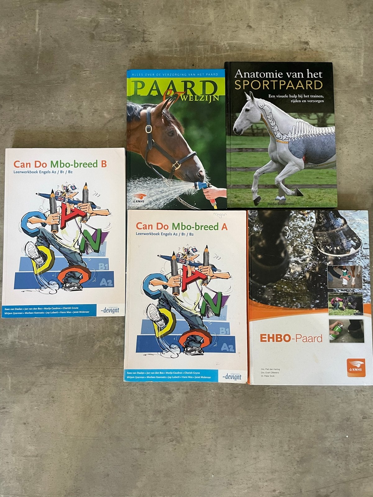 Paardenhouderij Theorieboeken - Zo goed als nieuw, Boeken, Ophalen, Zo goed als nieuw, MBO
