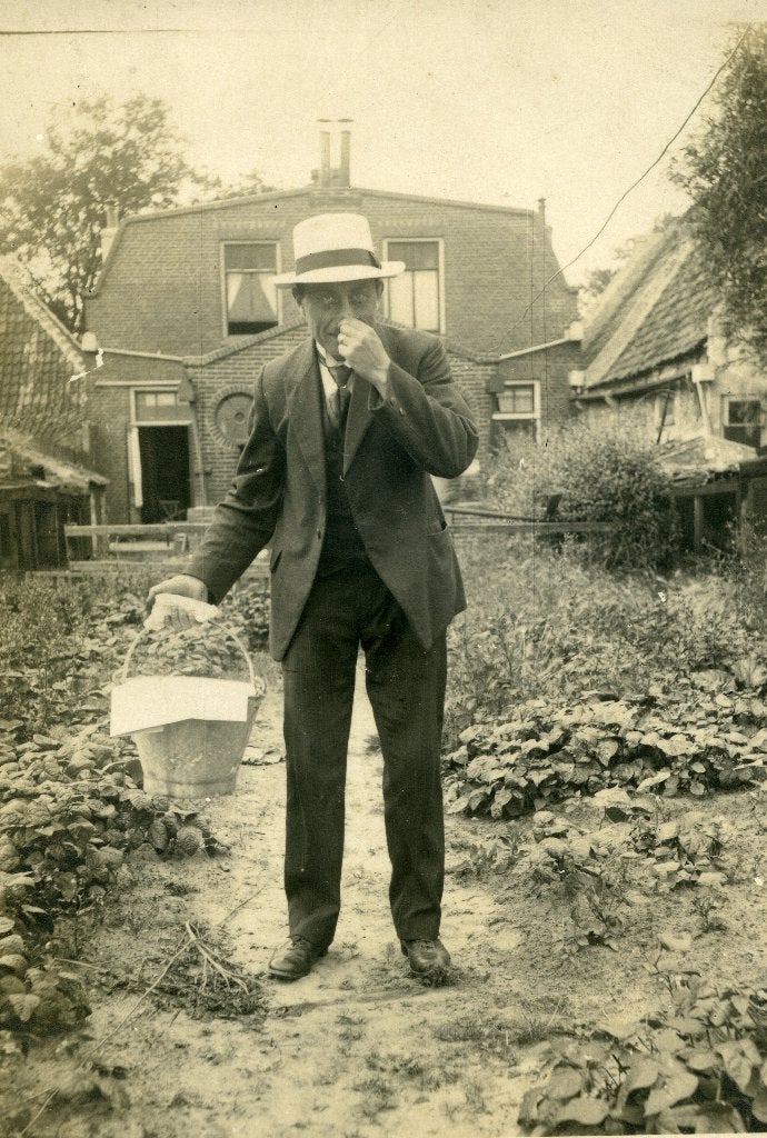 Vlieland, Ophalen of Verzenden, Zo goed als nieuw