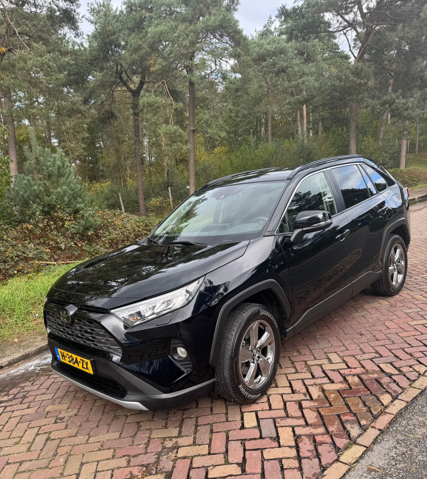 Toyota RAV4 2.0 Style 175pk CVT | JBL | Trekhaak | Winterset