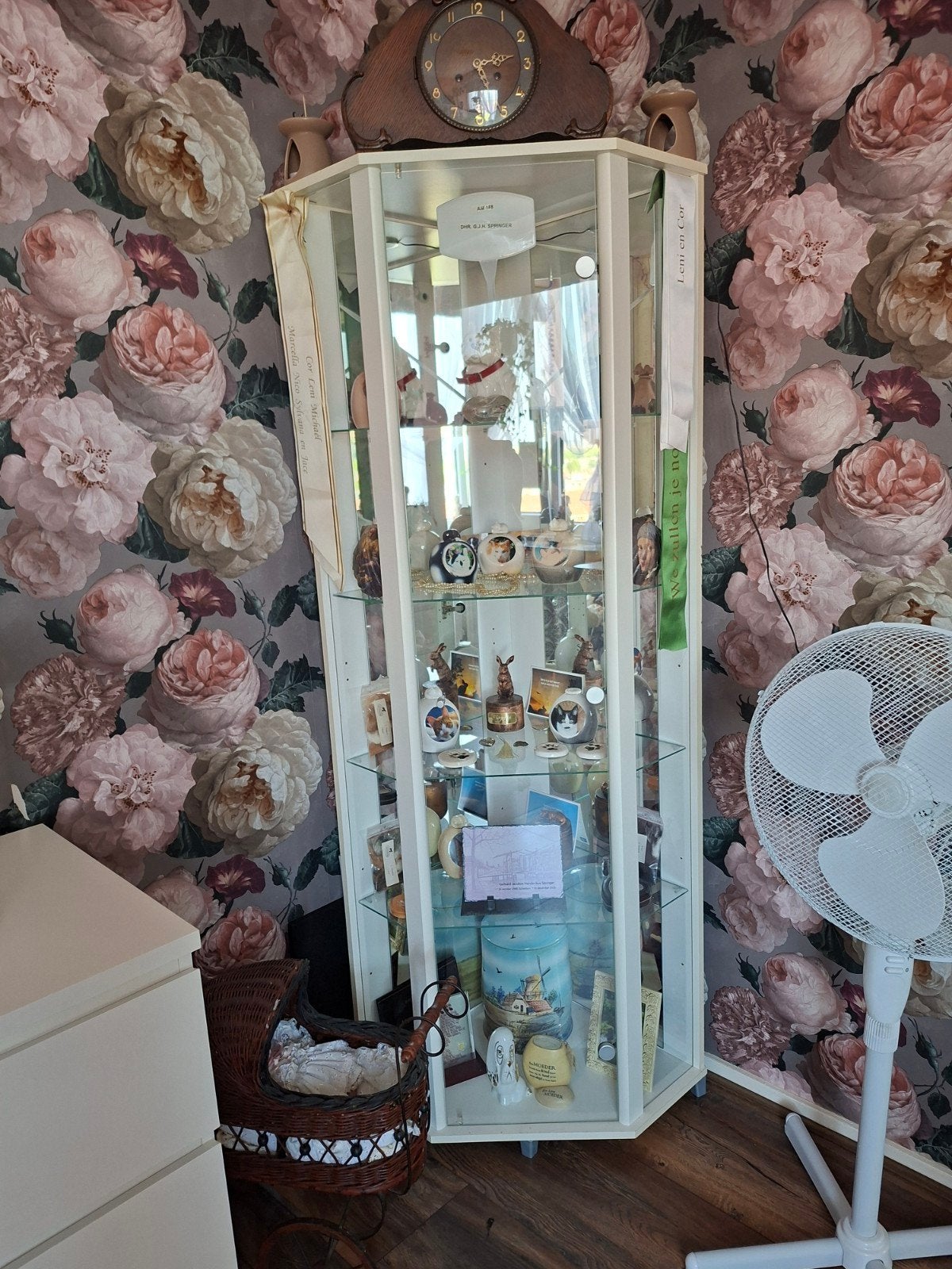 Vitrine kasten, Ophalen, 25 tot 50 cm, 50 tot 100 cm