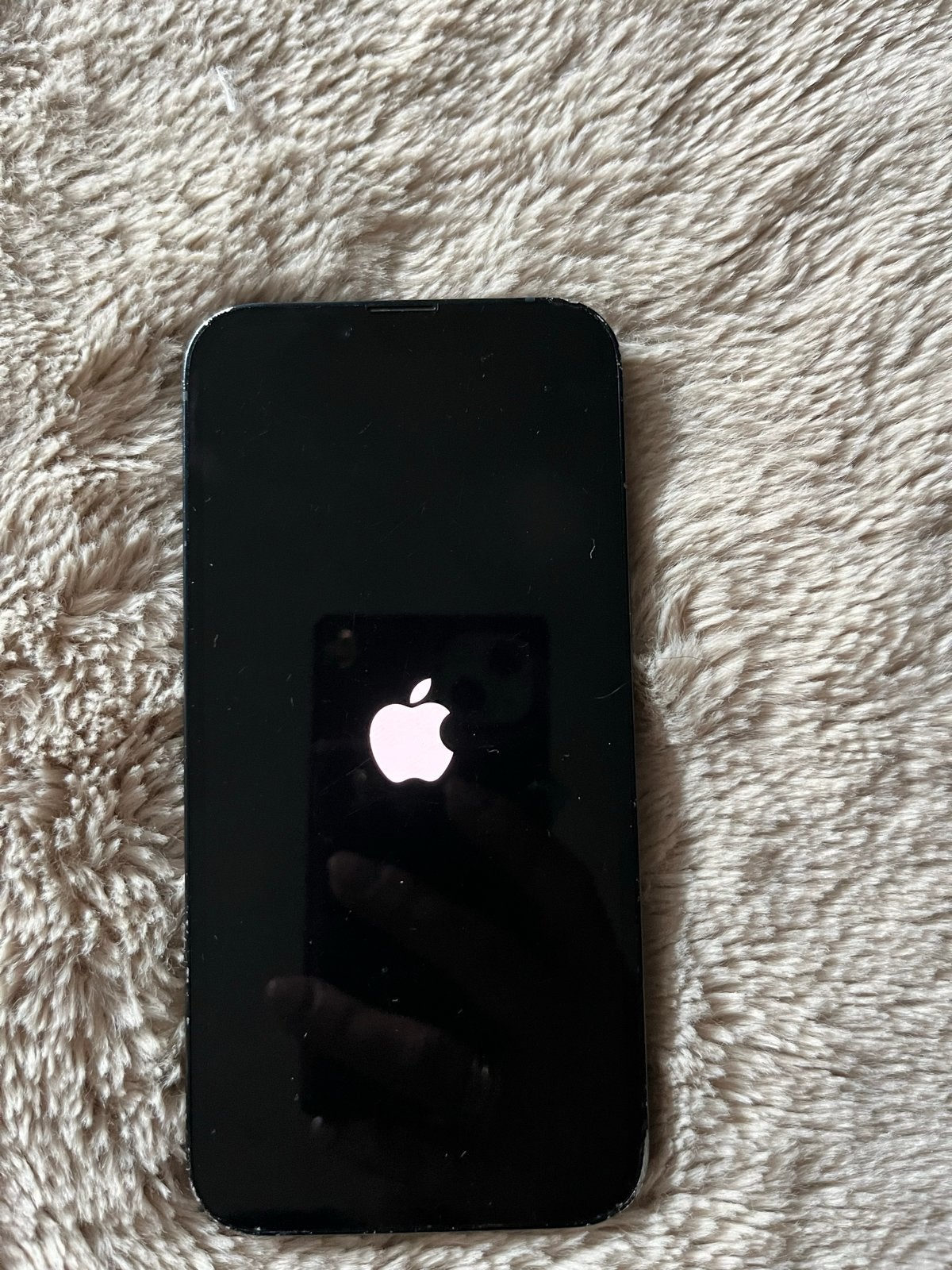 iPhone 13  werkt nog prima, Gebruikt, IPhone 13, Ophalen of Verzenden, Zonder simlock