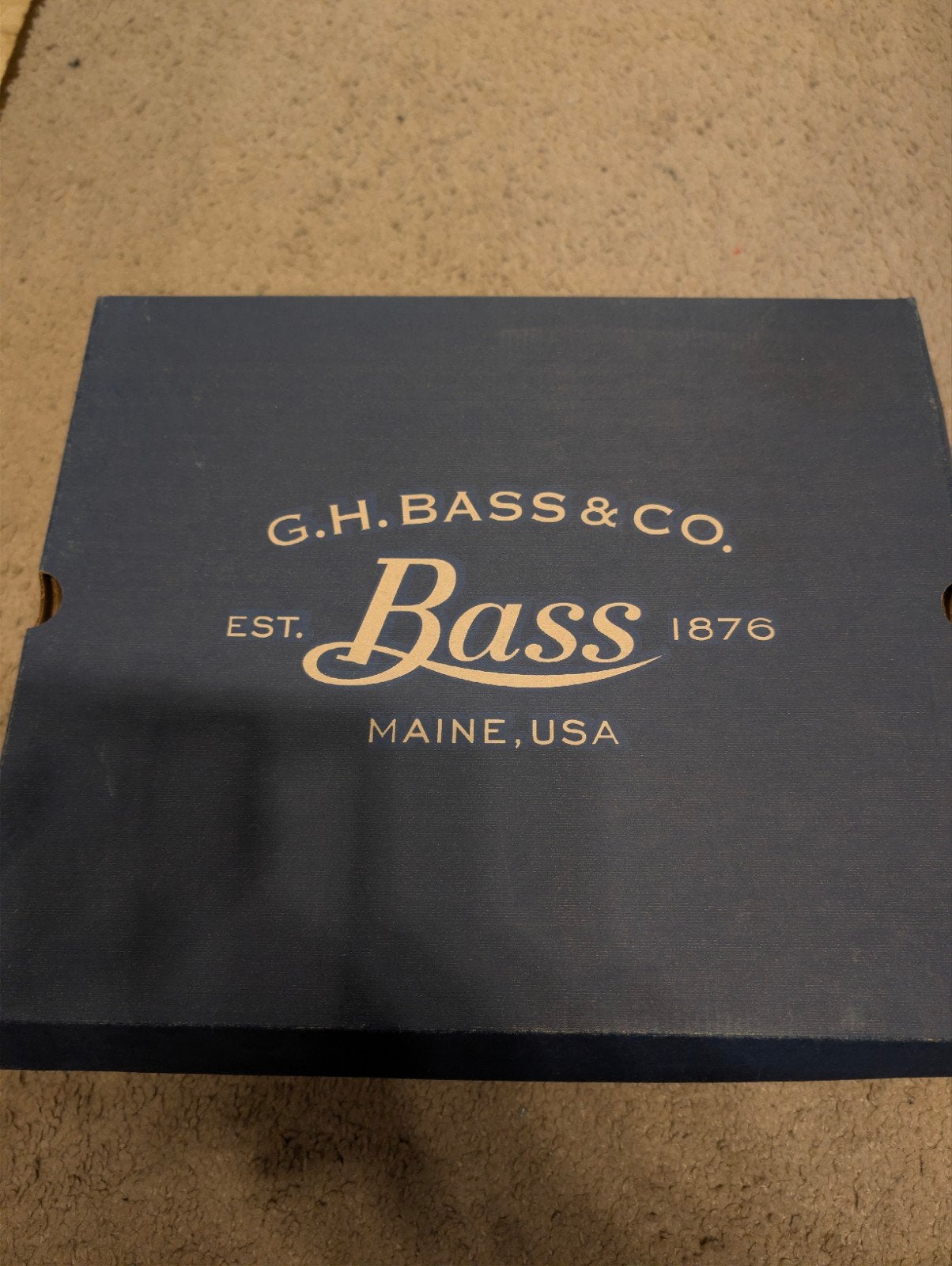 Nieuwe G.H. Bass & Co. Leren Veterboots – Maat EU 43 (US 10), Bruin, Nieuw, Ophalen of Verzenden, Boots