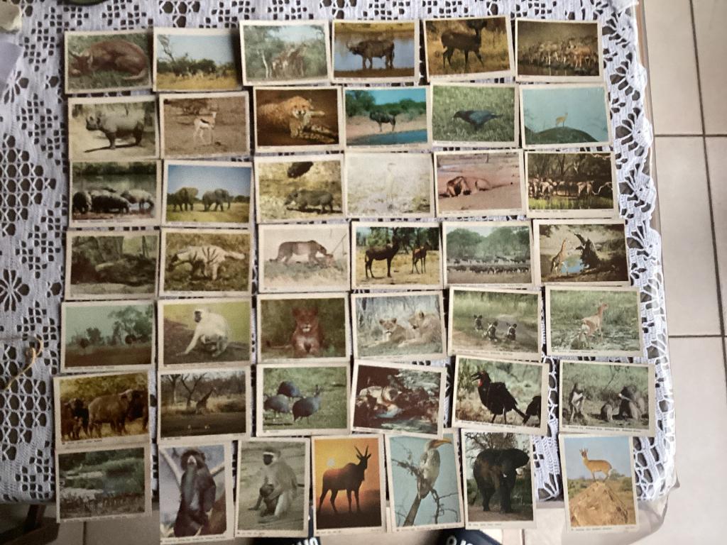 43 plaatjes Monty Gum dieren, Ophalen of Verzenden, Gebruikt, Meerdere plaatjes