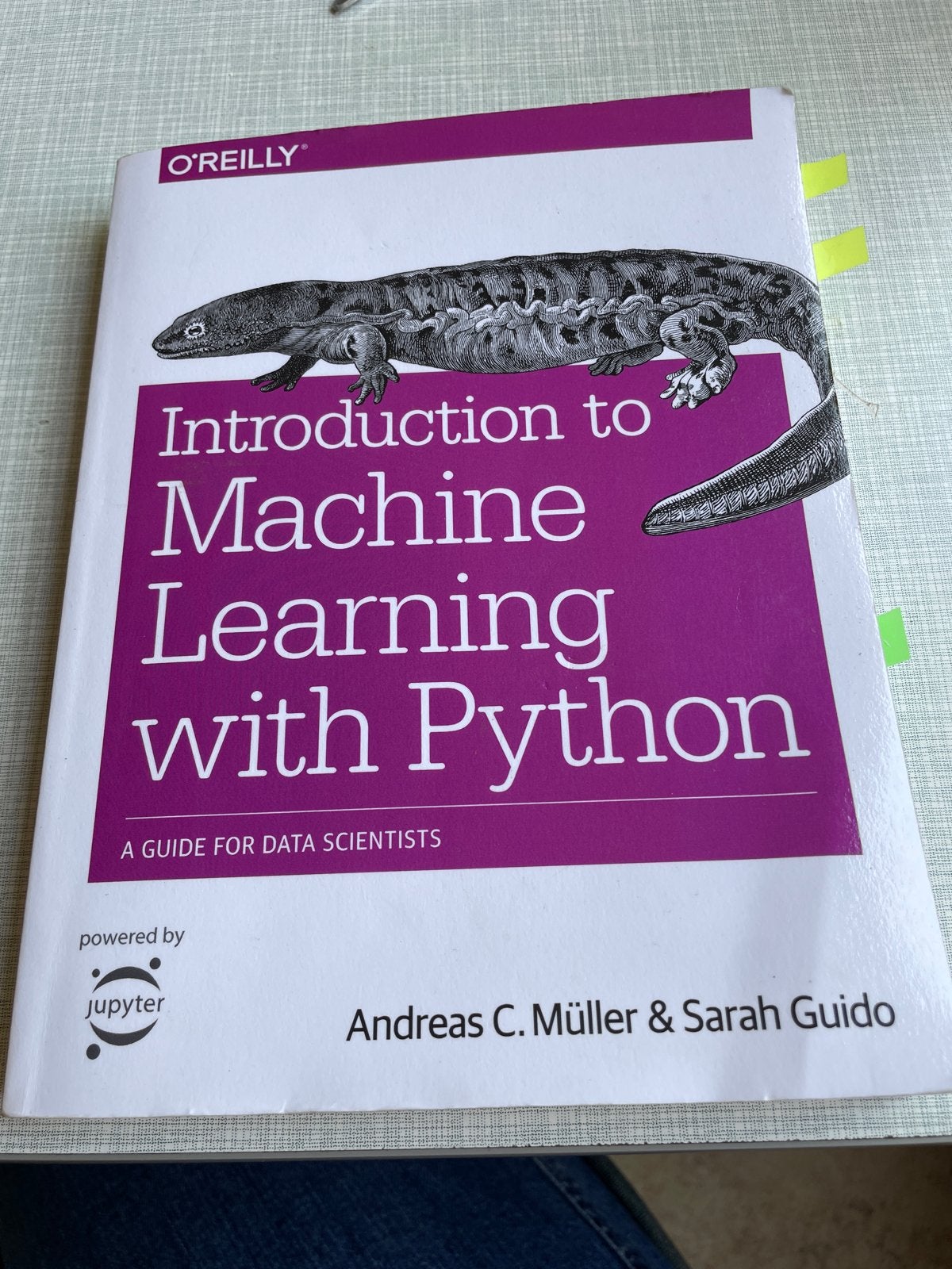 Introduction to Machine Learning with Python, Boeken, Ophalen of Verzenden, Beta, Gelezen, HBO