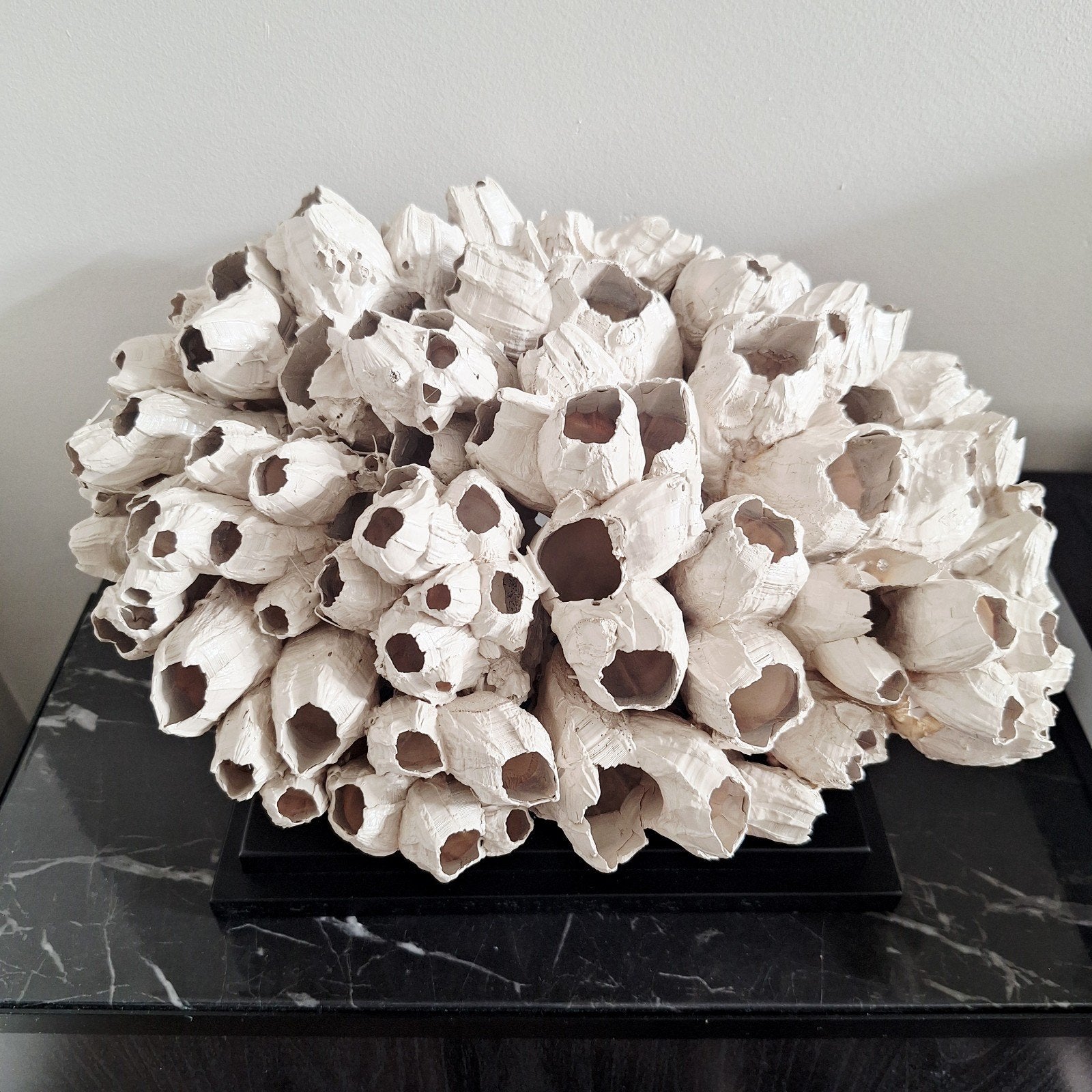 Prachtig groot pokken cluster Beige zwevend op voet, Ophalen of Verzenden, Overige typen