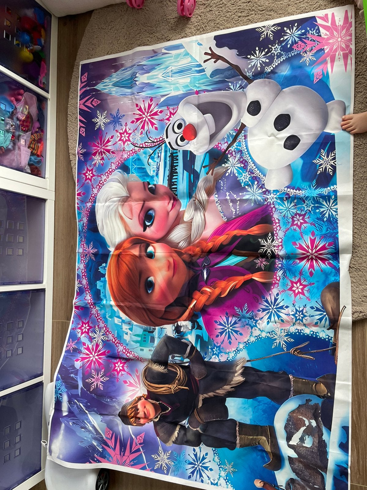 Frozen poster decoratie elsa anna doek, Ophalen of Verzenden, Zo goed als nieuw, Wanddecoratie