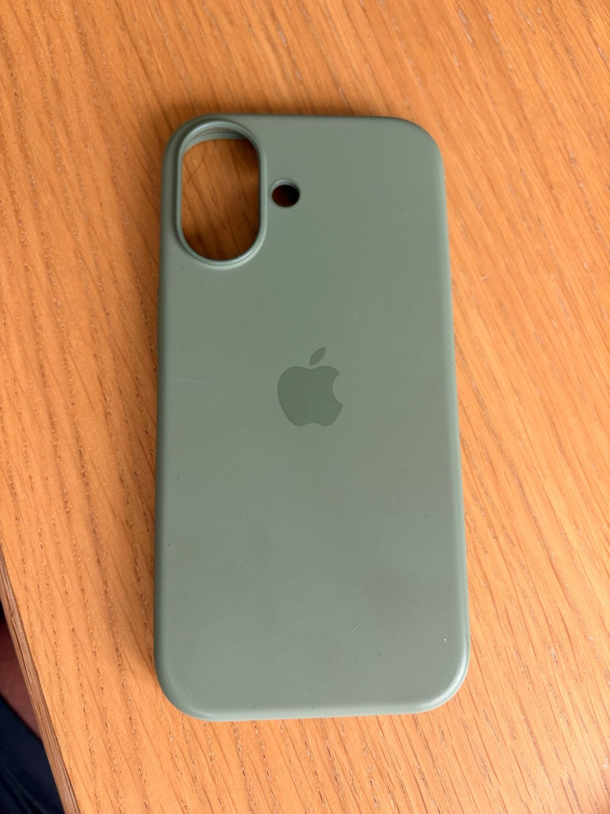 Apple Siliconenhoesje met MagSafe voor iPhone 17 - Groen, IPhone 17, MagSafe, Hoesje of Tasje, Ophalen of Verzenden