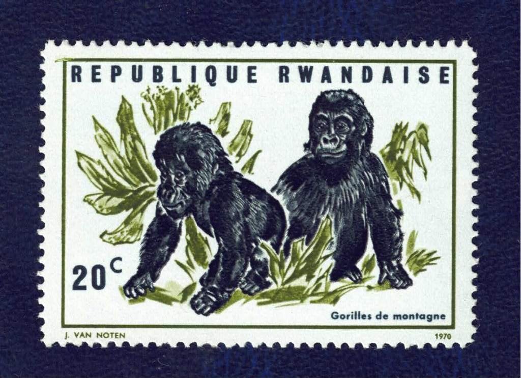 Fauna - Dieren - Apen - Rwanda - 20c - Berggorilla's - p.fr., Ophalen of Verzenden, Postfris, Dier of Natuur