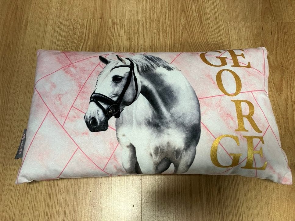 Roze kussen George Paardenpraat  TV - Zo goed als nieuw, Overige merken, Met print, Ophalen of Verzenden, Zo goed als nieuw