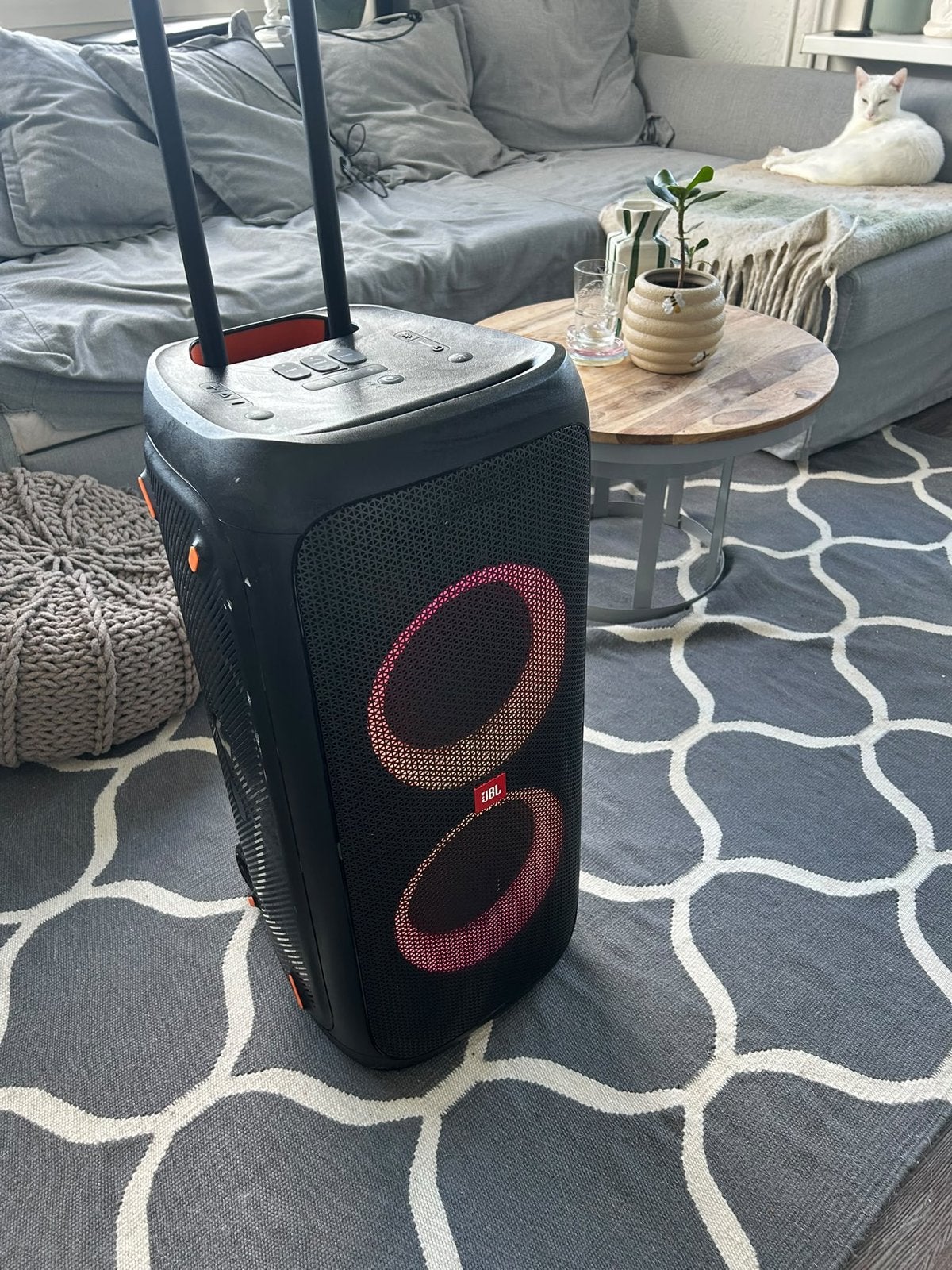 JBL Partybox 310 - Krachtige Party Speaker met Lichteffecten