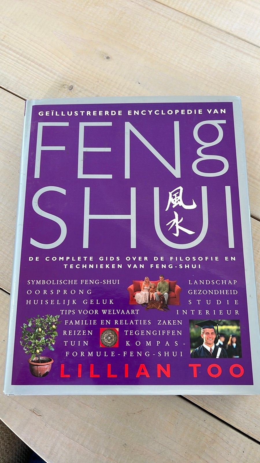 Geïllustreerde encyclopedie van Feng Shui - Lillian Too, Ophalen of Verzenden, Zo goed als nieuw, Overige onderwerpen