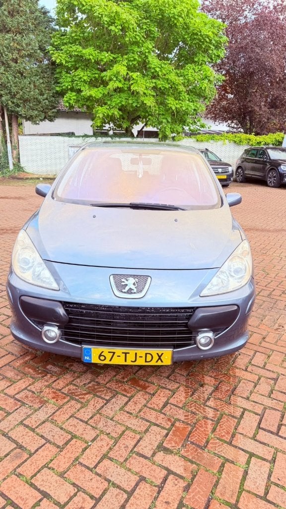 Peugeot 307 1.4 16V 5DR 2006 Grijs, Voorwielaandrijving, 15 km/l, 1360 cc, 4 cilinders