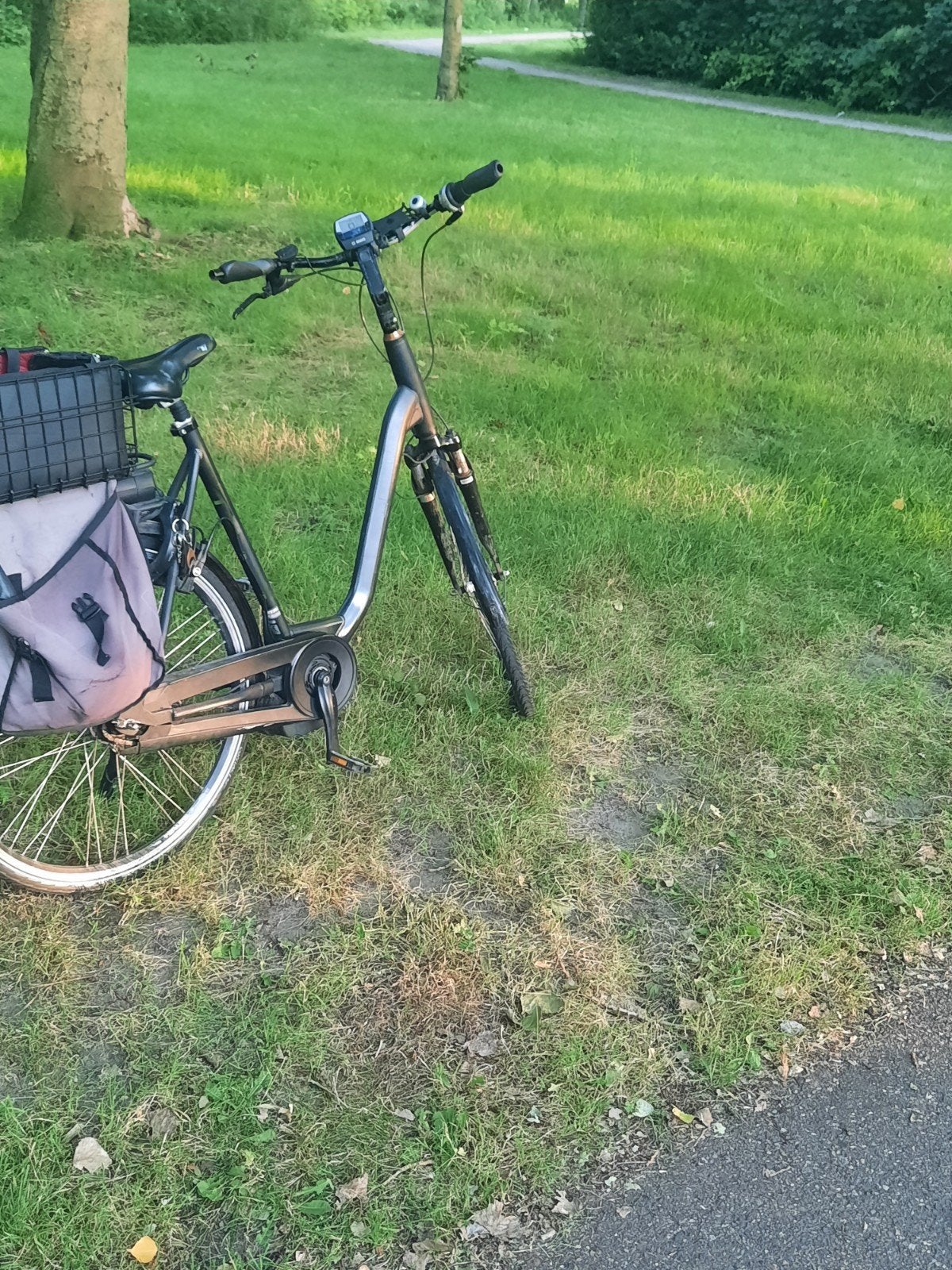 Sparta B1 Elektrische fiets, Ophalen of Verzenden, Gebruikt, Sparta