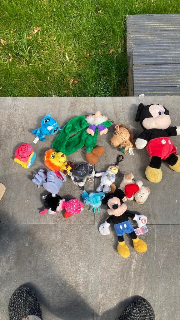 Div knuffels, Kinderen en Baby's, Speelgoed | Knuffels en Pluche, Ophalen, Gebruikt, Overige typen
