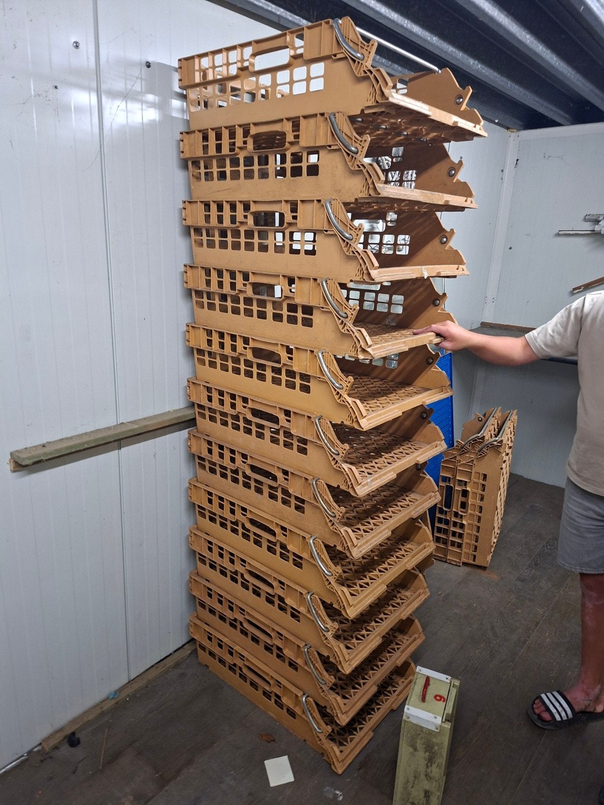 Bakkerskratten - Stapelbare kratten voor transport en opslag, Gebruikt, 40 tot 60 cm, Opvouwbaar, 50 tot 75 cm