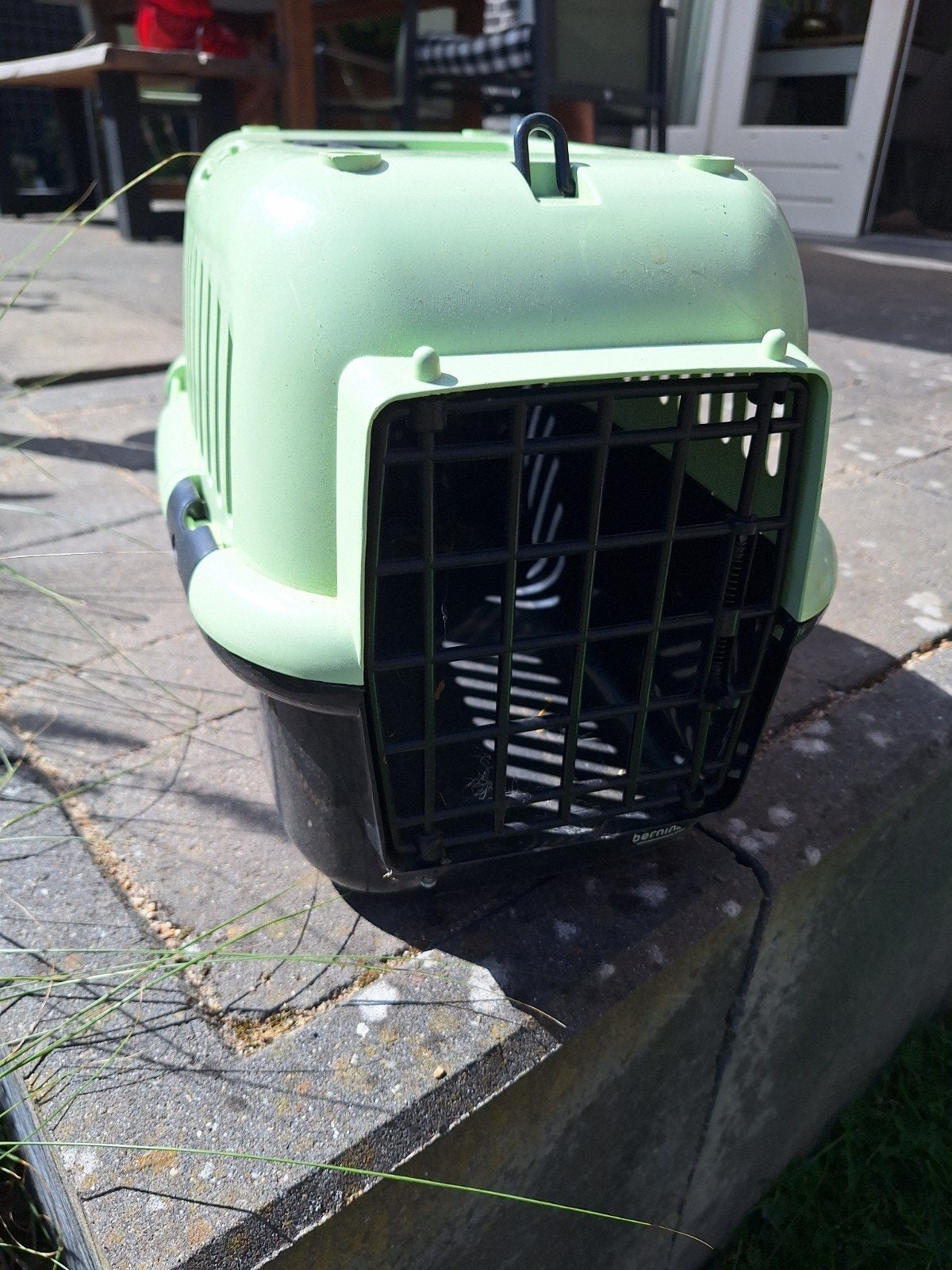 Gratis konijnen/cavia reismand, Ophalen, Kooi, Konijn, Minder dan 60 cm