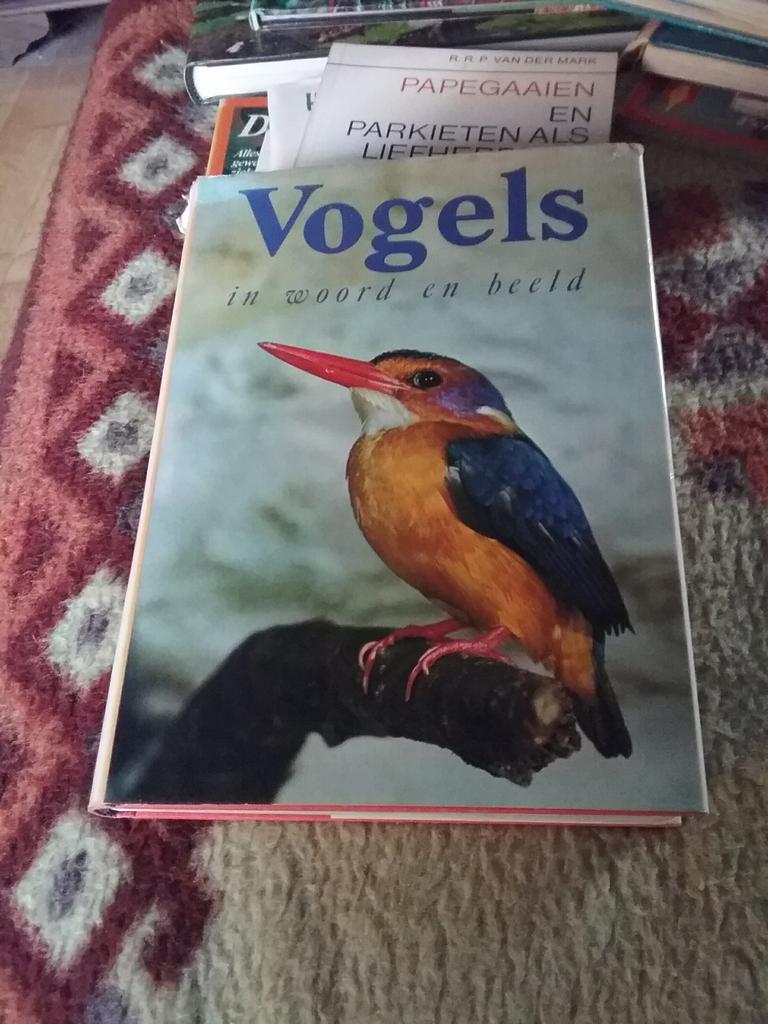 BOEKEN OVER VOGELS, VOLIEREVOGELS, PAPEGAAIEN EN PARKIETEN!, Ophalen of Verzenden, Vogels