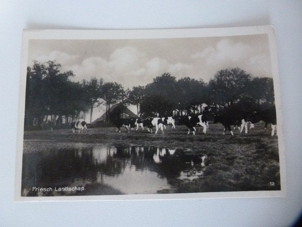 1940 Friesch Landschap stempel Terschelling  afz. Stiens, Ophalen, 1920 tot 1940, Gelopen, Friesland
