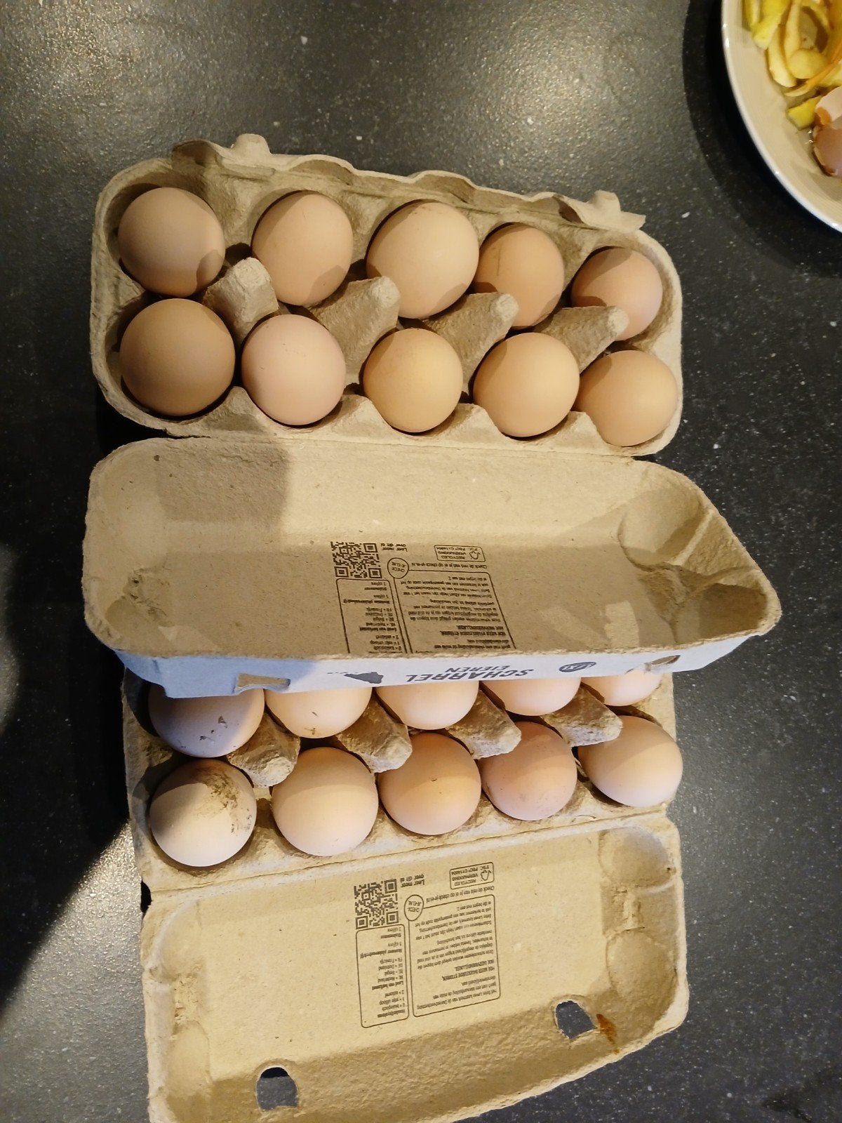 Australorp broedeieren, Dieren en Toebehoren, Pluimvee | Toebehoren, Ophalen of Verzenden, Nieuw, Overige typen