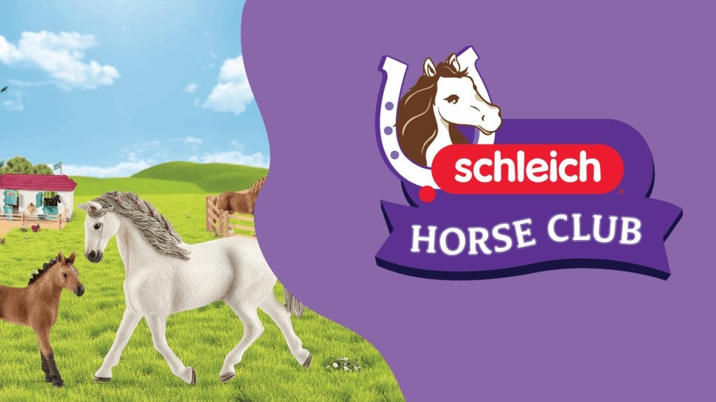 SCHLEICH GEZOCHT!!!!, Ophalen of Verzenden