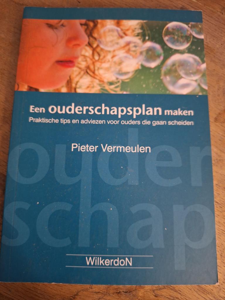 Pieter Vermeulen - Een ouderschapsplan maken, Ophalen of Verzenden, Zo goed als nieuw, Pieter Vermeulen