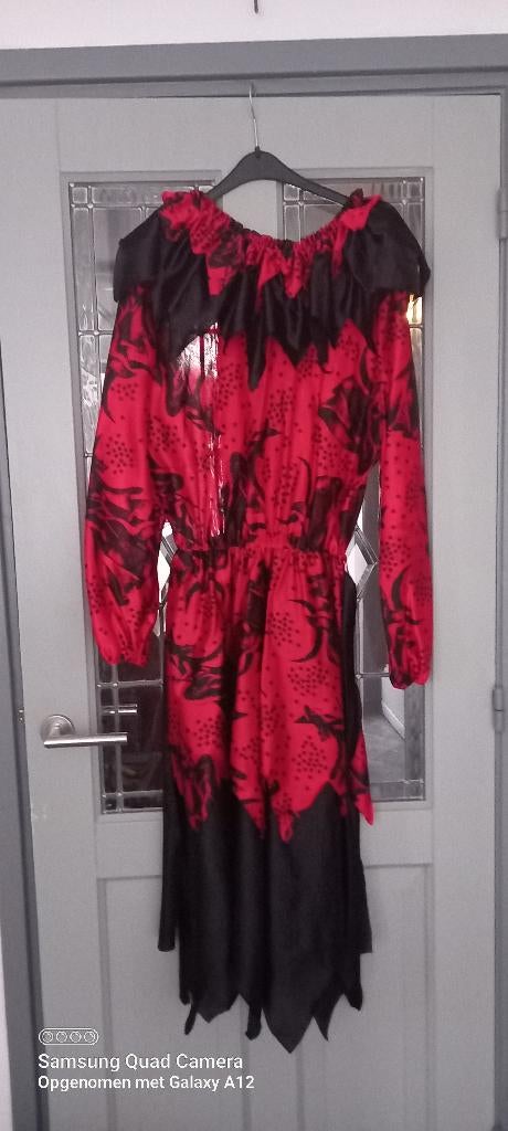 carnavalskleding, Kleding | Dames, Maat 38/40 (M), Carnaval, Ophalen of Verzenden, Kleding
